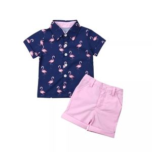 Boys Flamingo 2 pc, summer shirt & shorts outfit